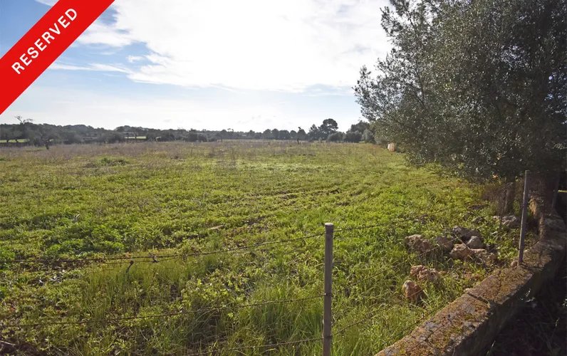 Piękna rustykalna posiadłość w Pina