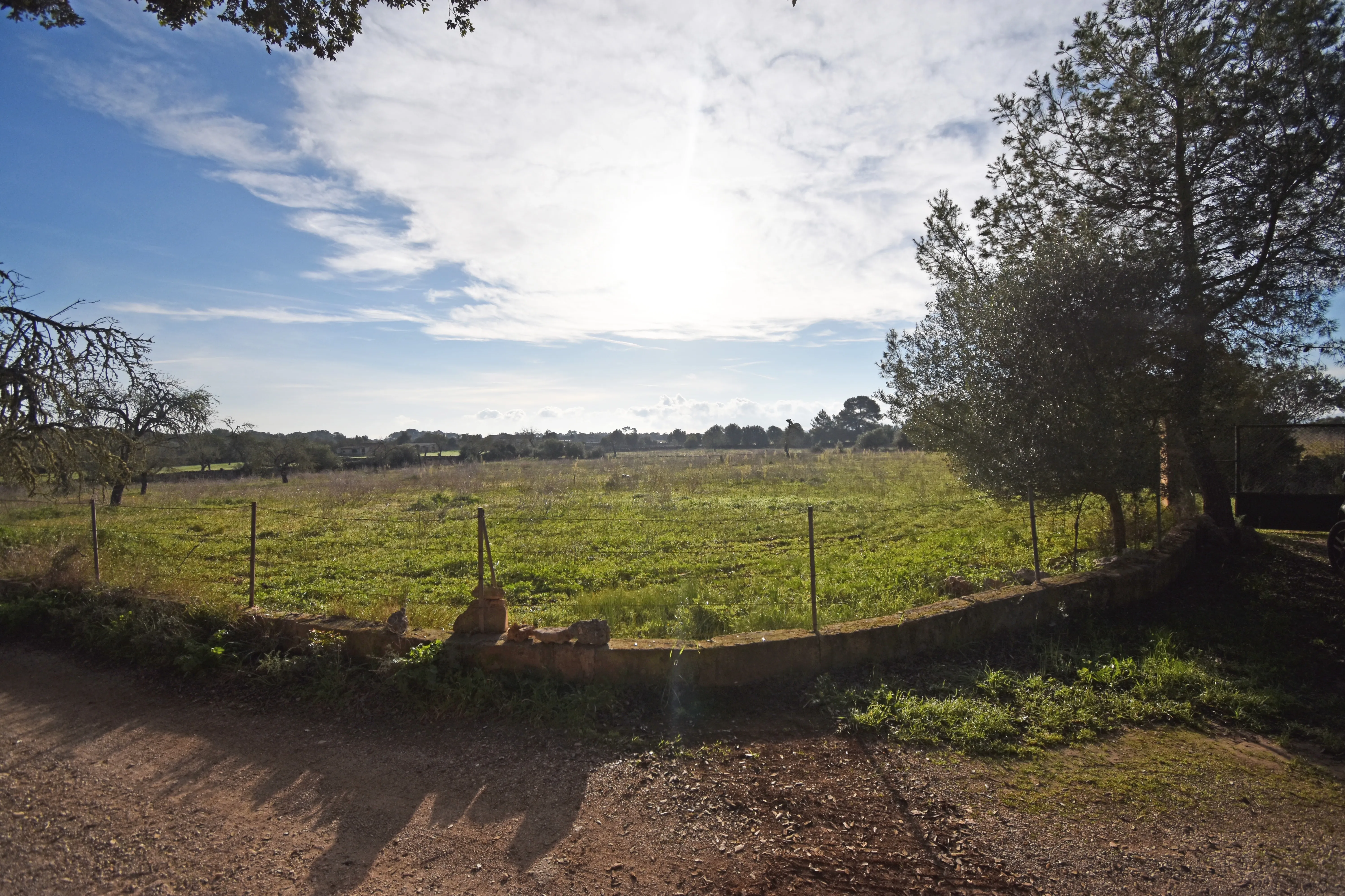 Beautiful rustic plot in Pina-3