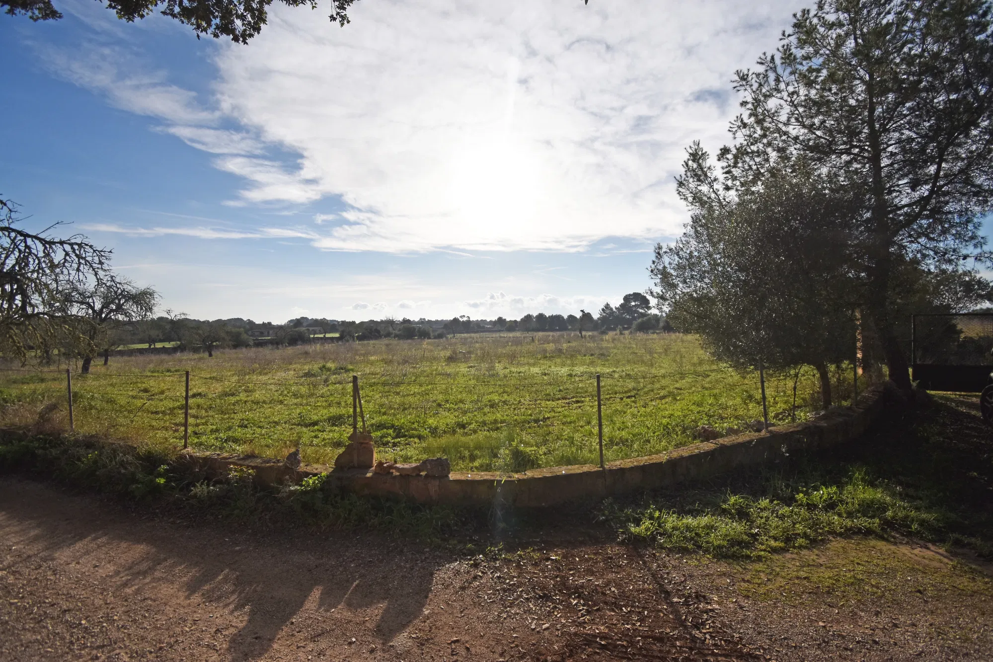Beautiful rustic plot in Pina-3