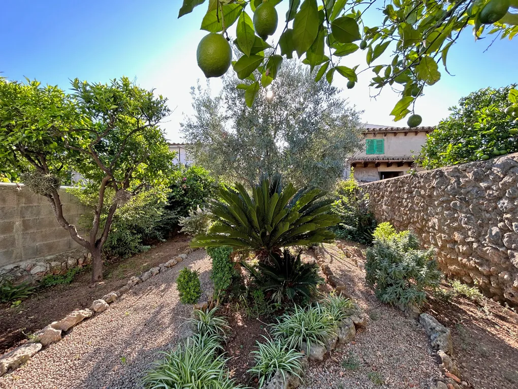 Maison de ville spacieuse avec garage et jardin à Alaro-1