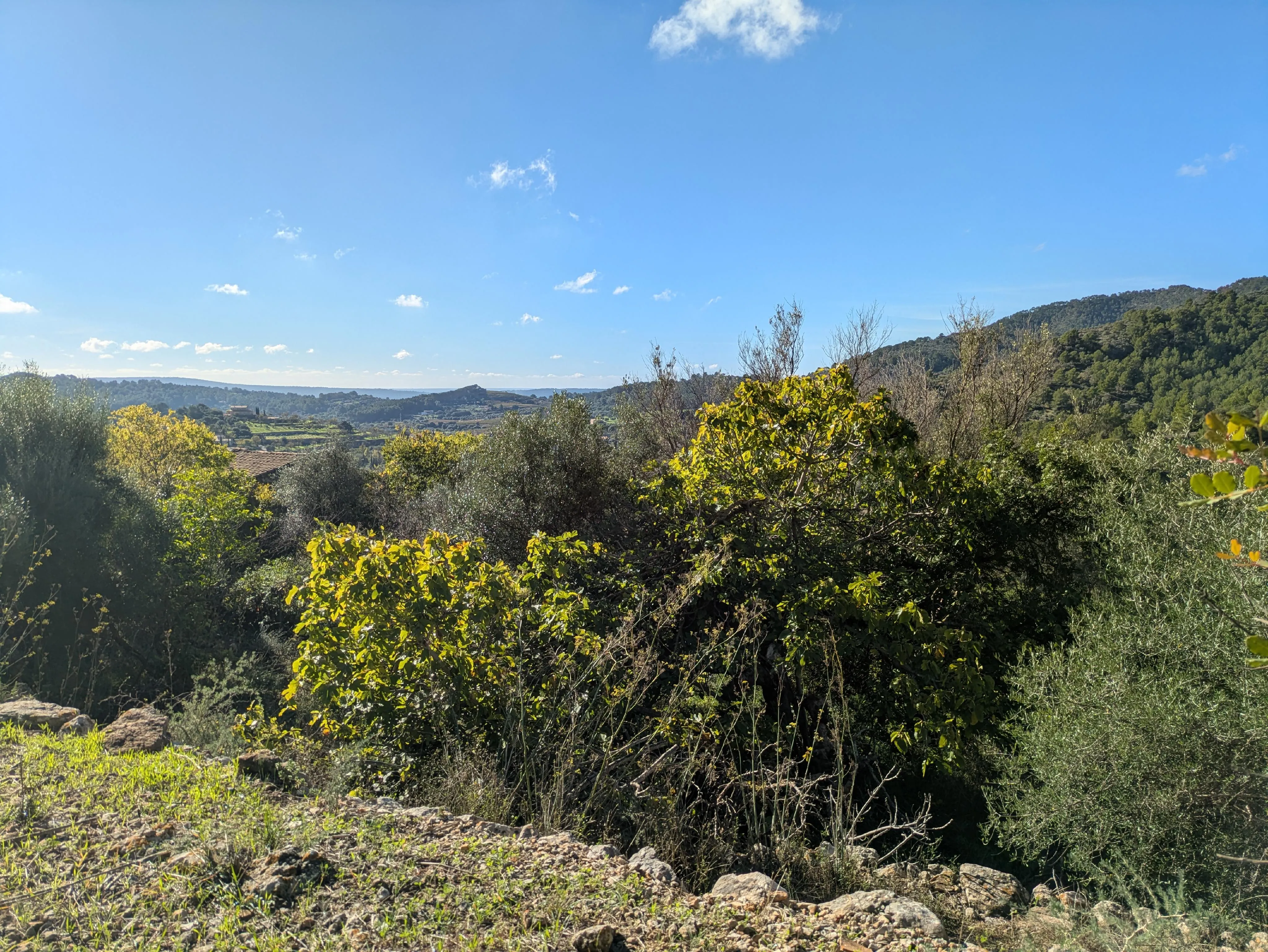 Exceptional real estate project with two residential units and panoramic views in Alaró-14
