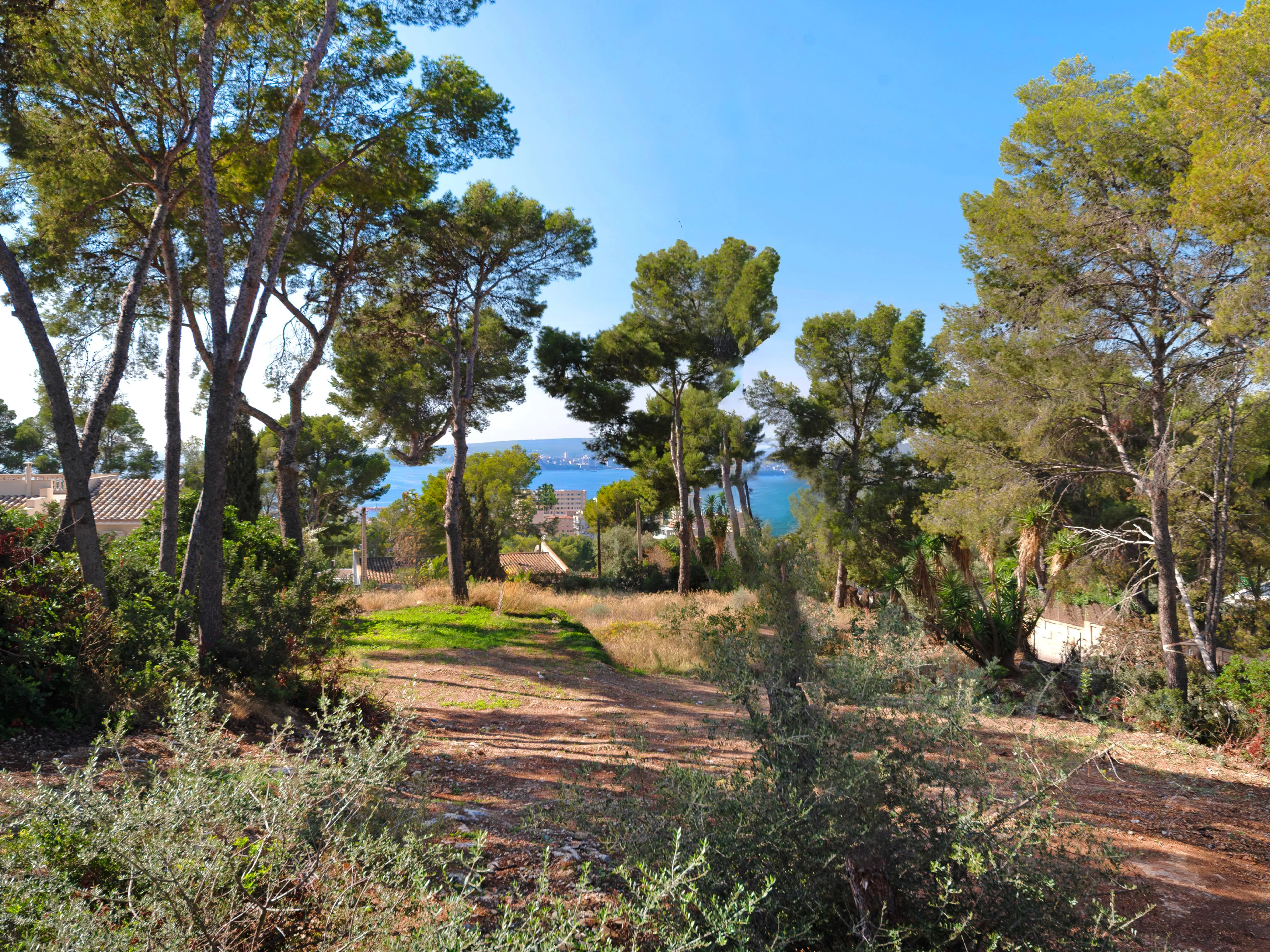 Sea view plot in perfect location with building license-1