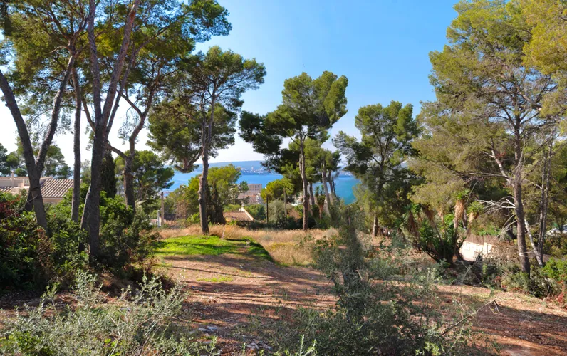 Sea view plot in perfect location with building license