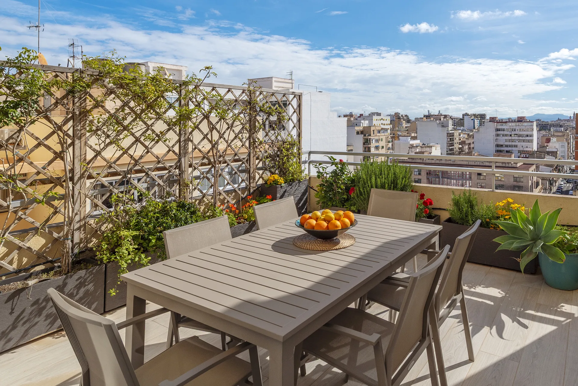 Elegance and comfort, bright apartment in Santa Catalina-11