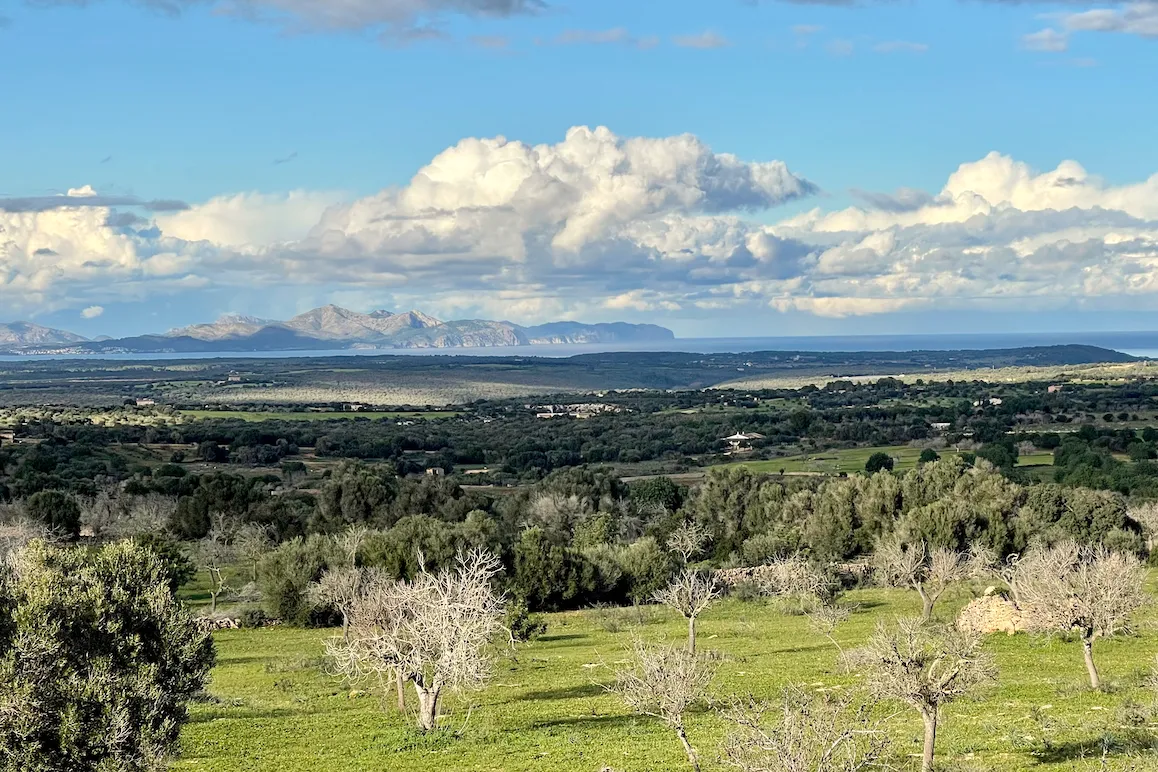 Finca Solvida - Excelente calidad de construcción y estilo de vida consciente-11