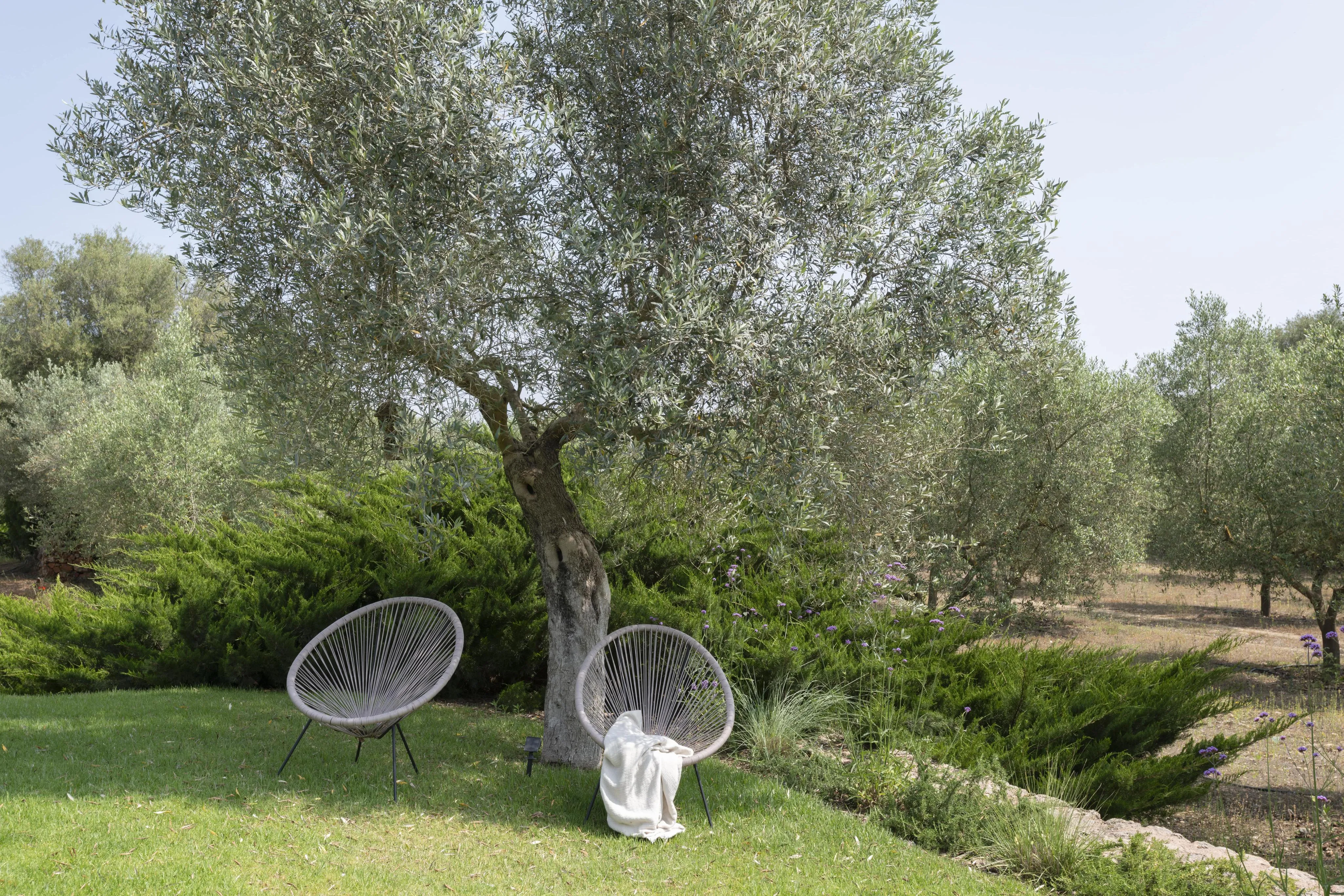 Incantevole finca ristrutturata e completamente arredata con licenza ETV, pronta per essere abitata e con piscina.-23