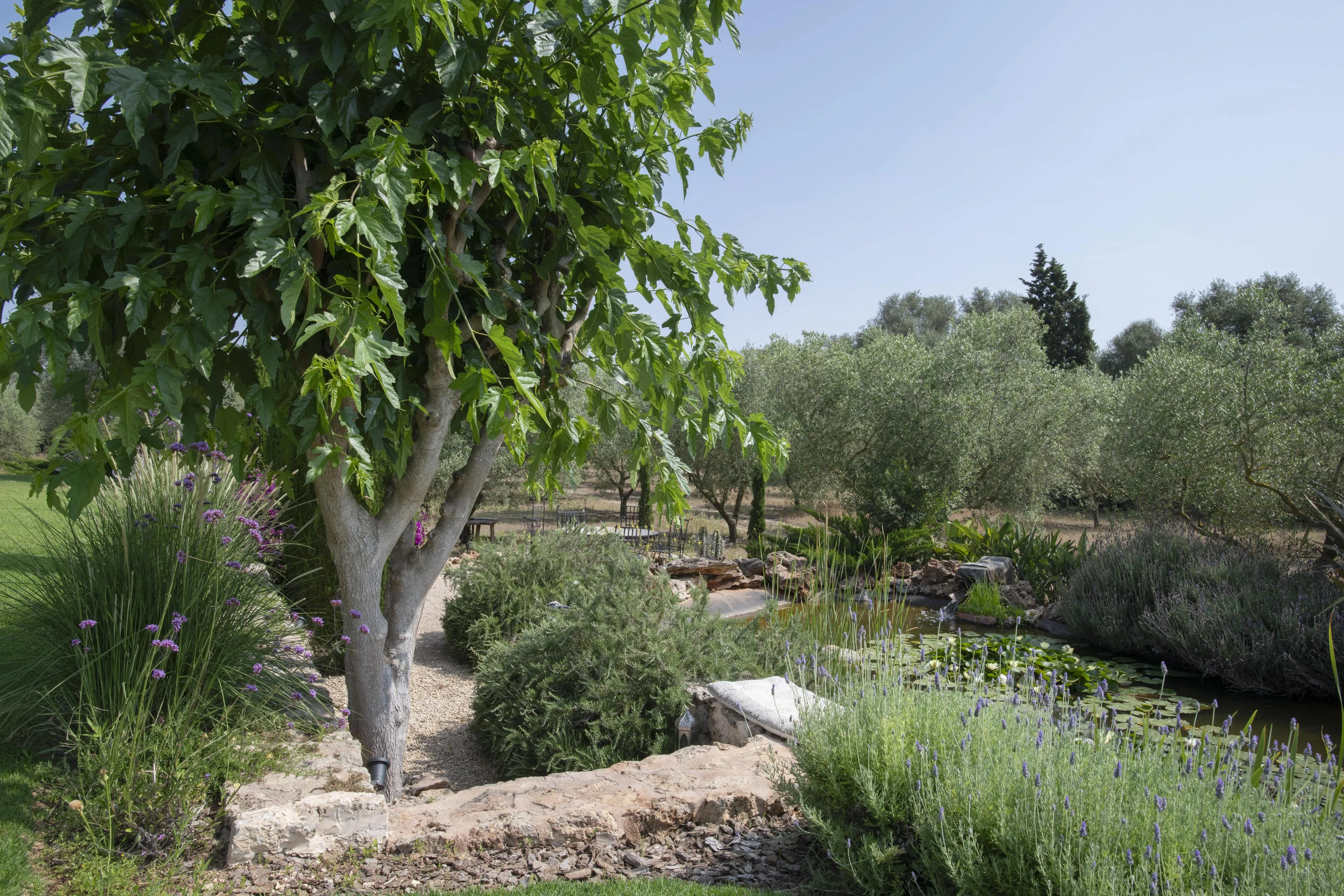 Charmerende renoveret og fuldt møbleret finca med ETV-licens, klar til at flytte ind og med pool.-22