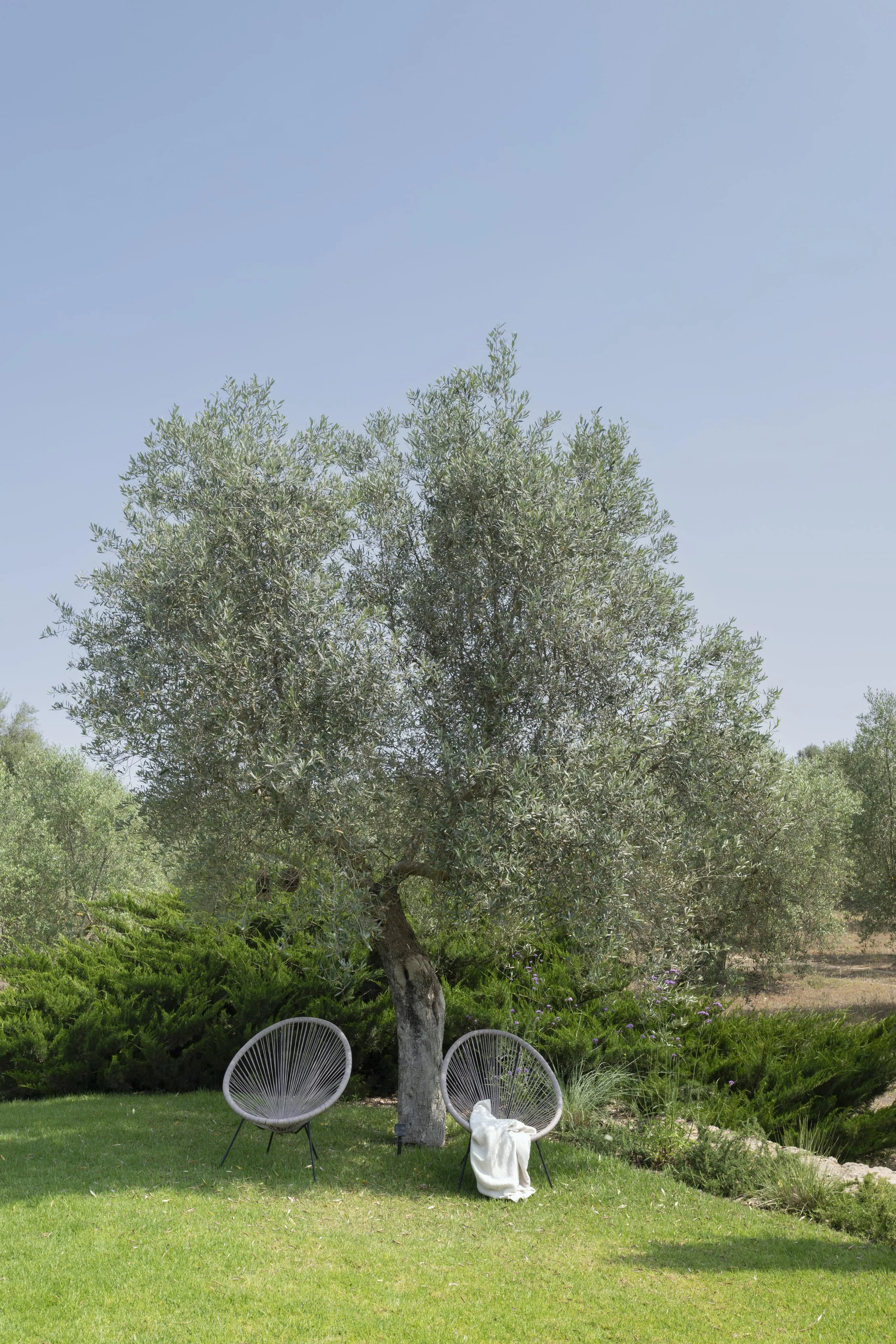 Charmerende renoveret og fuldt møbleret finca med ETV-licens, klar til at flytte ind og med pool.-9