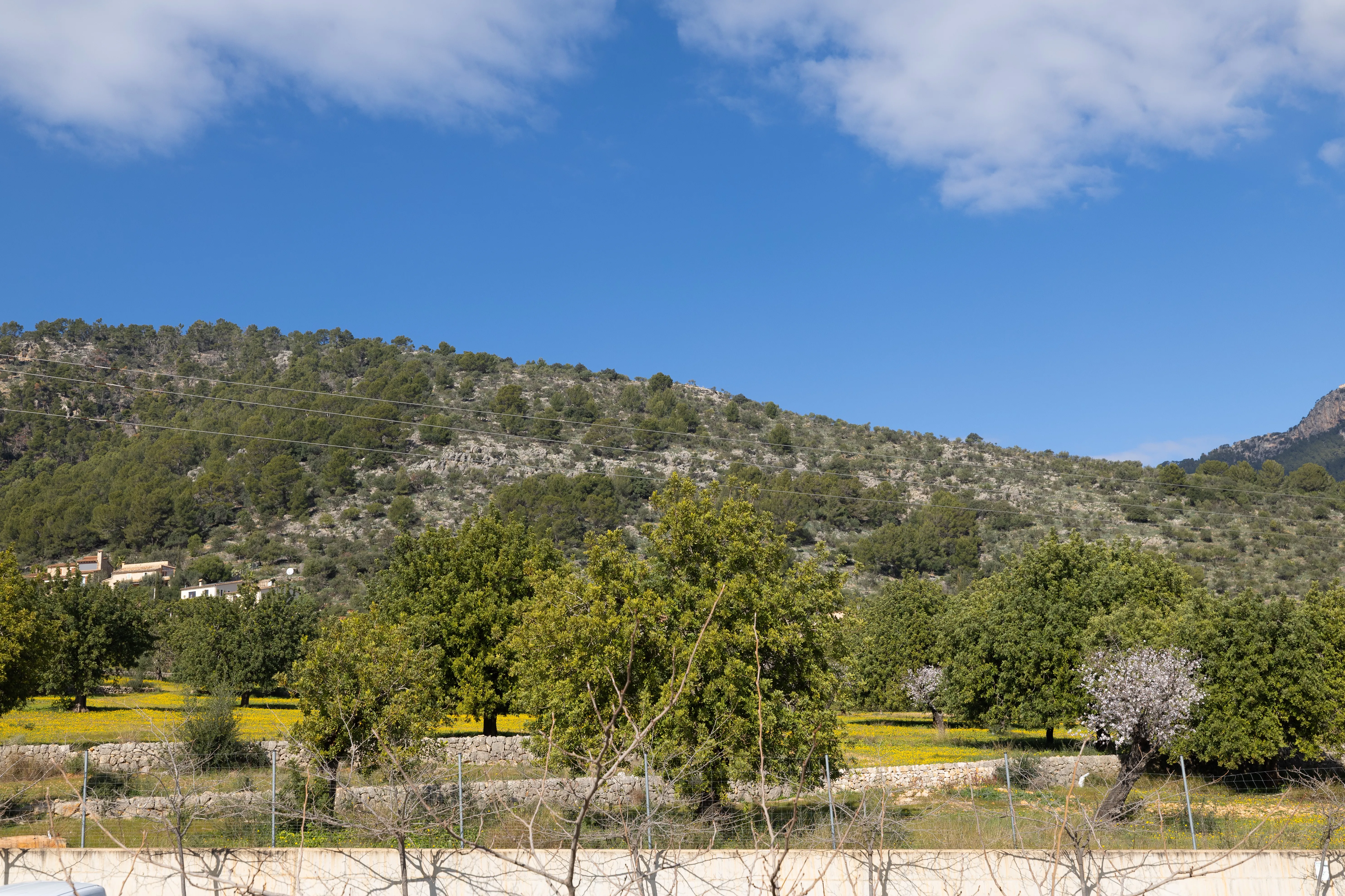 Nybygget rækkehus i Alaró-10