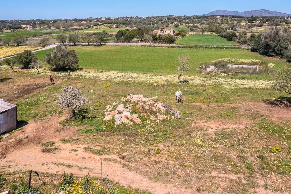 Finca amb projecte d'agroturisme-12