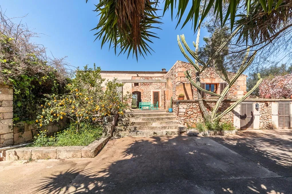 Finca amb projecte d'agroturisme-4