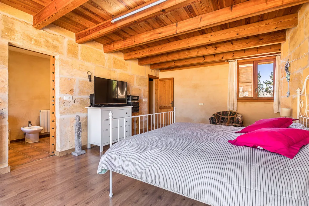 Finca amb projecte d'agroturisme-9