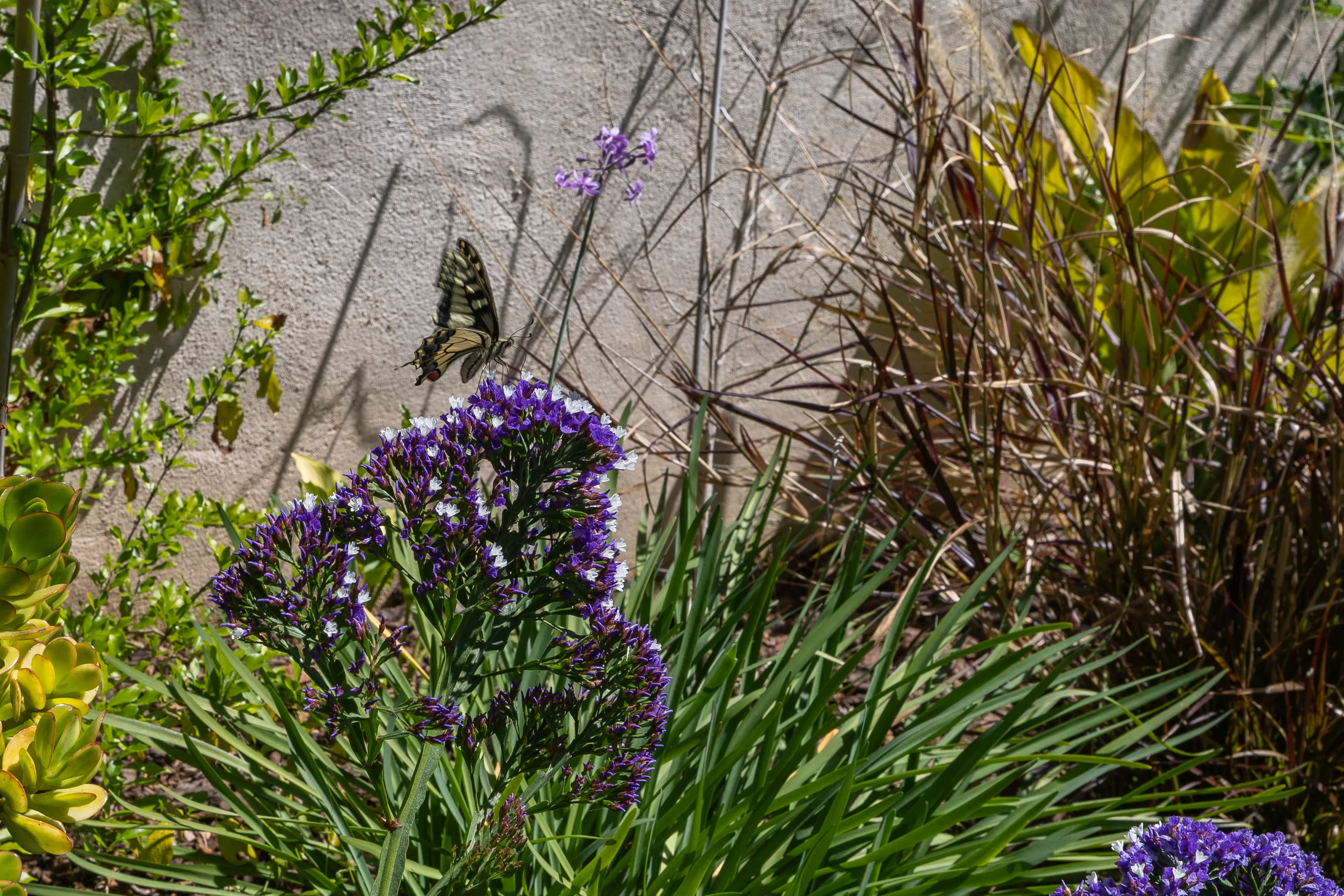 Casa di città storica con un'anima moderna ad Algaida-8