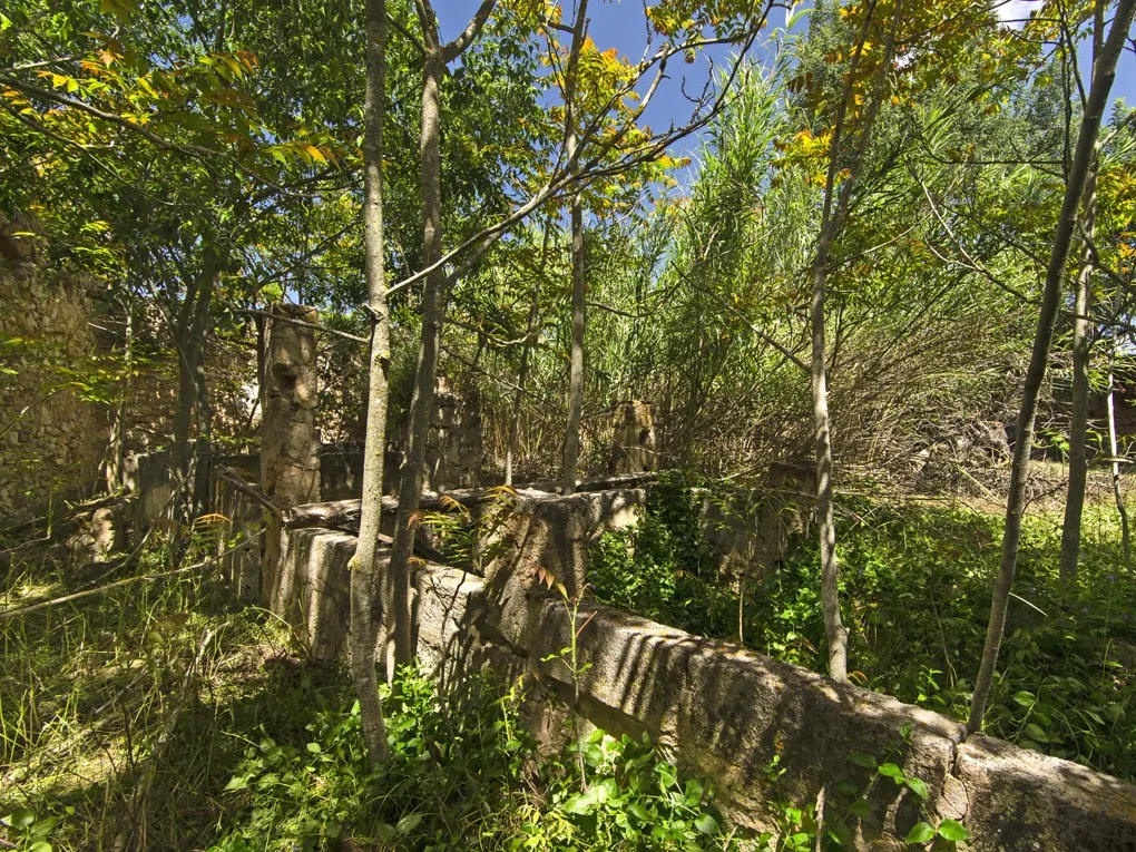 Majestætisk historisk ejendom til restaurering i Binissalem-8