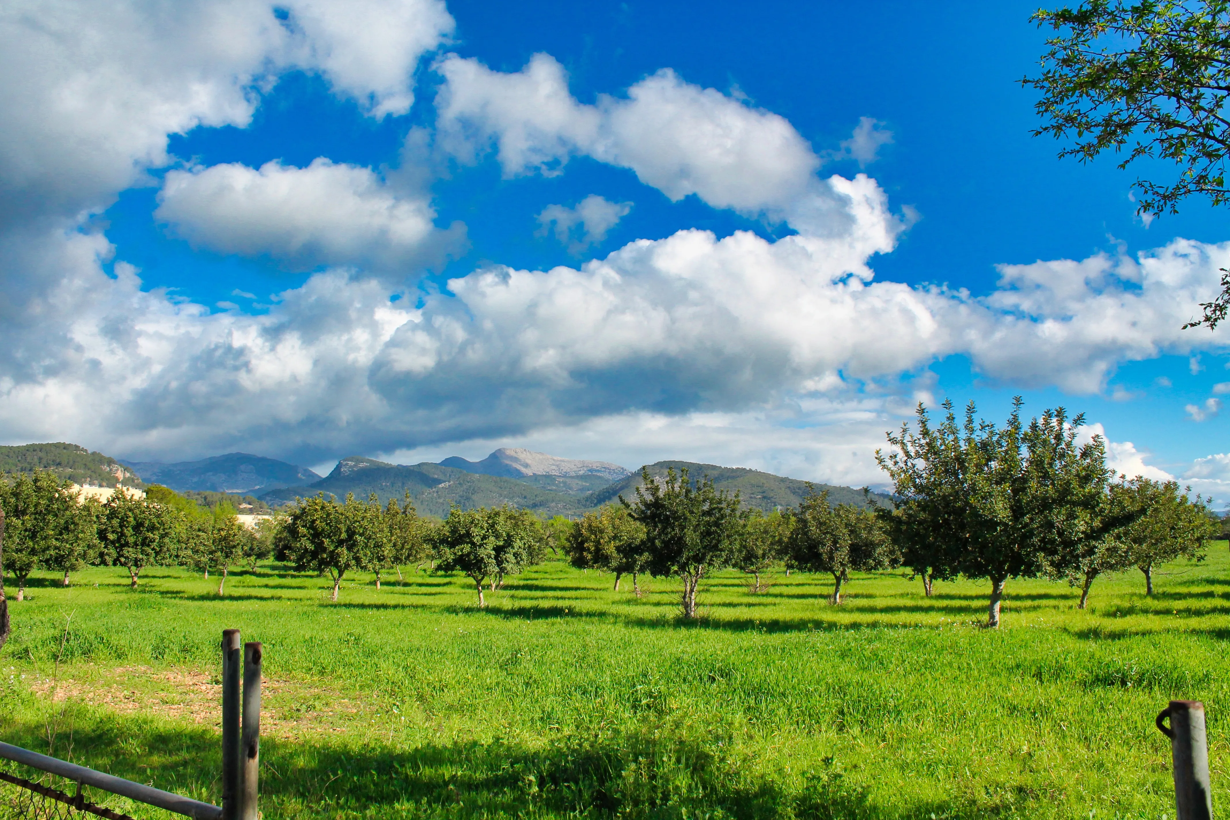 Majestuosa casa de pueblo histórica para restaurar en Binissalem-13