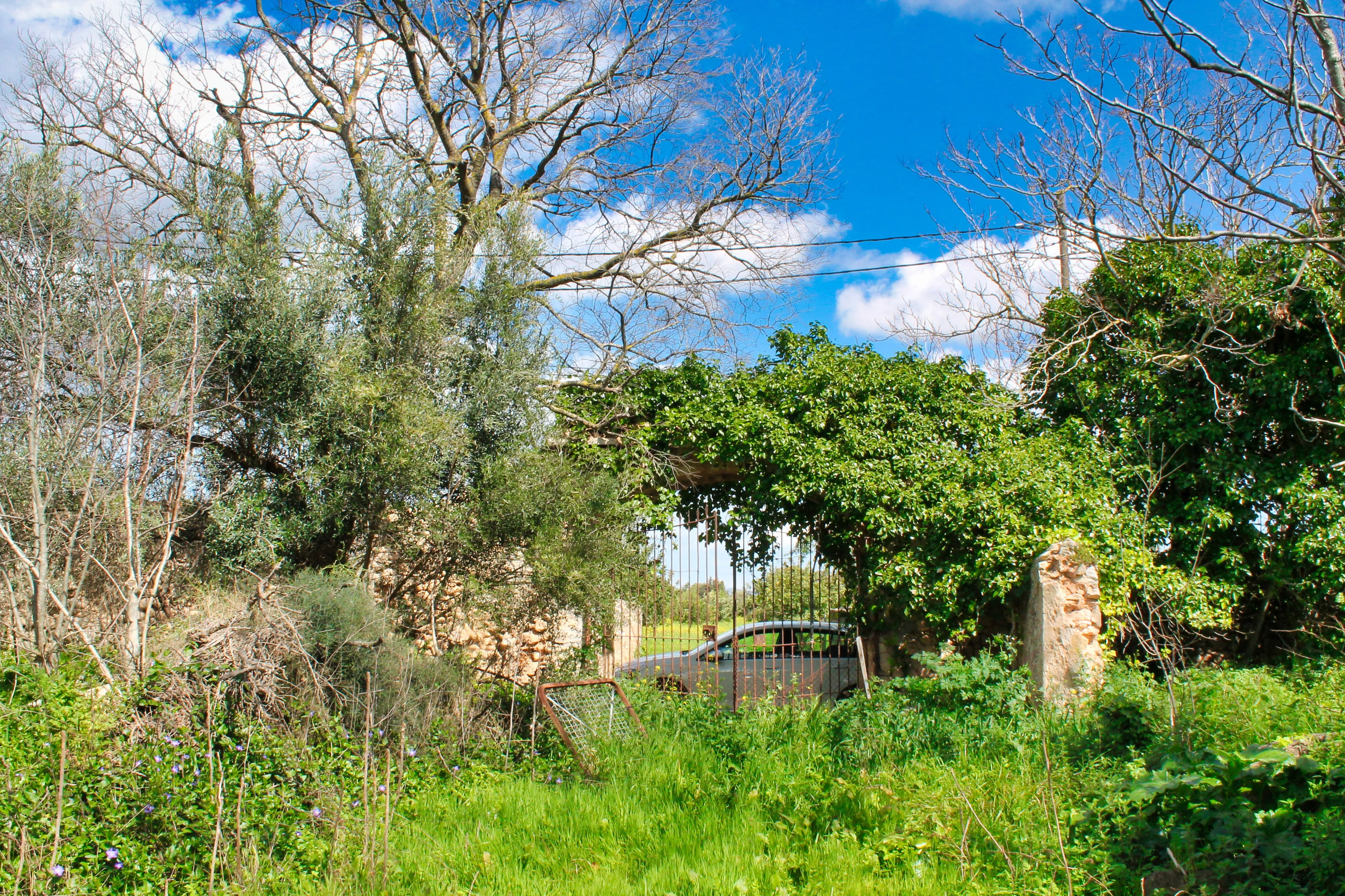 Majestætisk historisk ejendom til restaurering i Binissalem-12