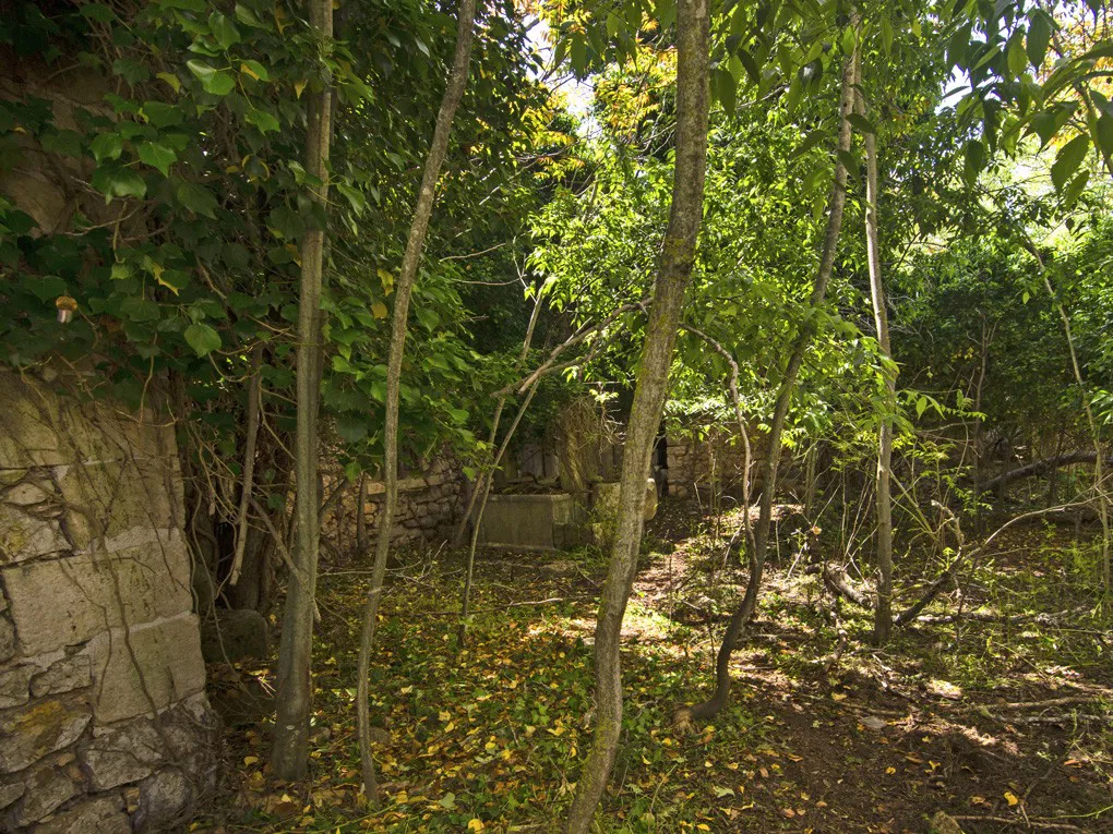 Majestuosa casa de pueblo histórica para restaurar en Binissalem-9
