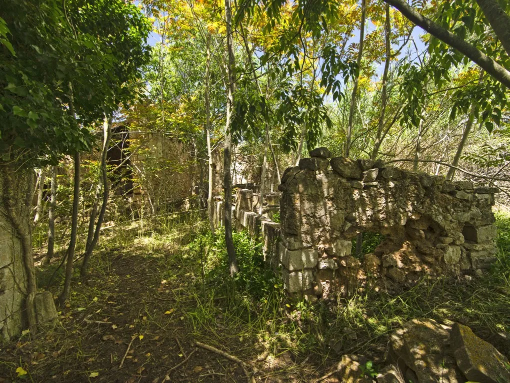 Majestuosa casa de pueblo histórica para restaurar en Binissalem-7