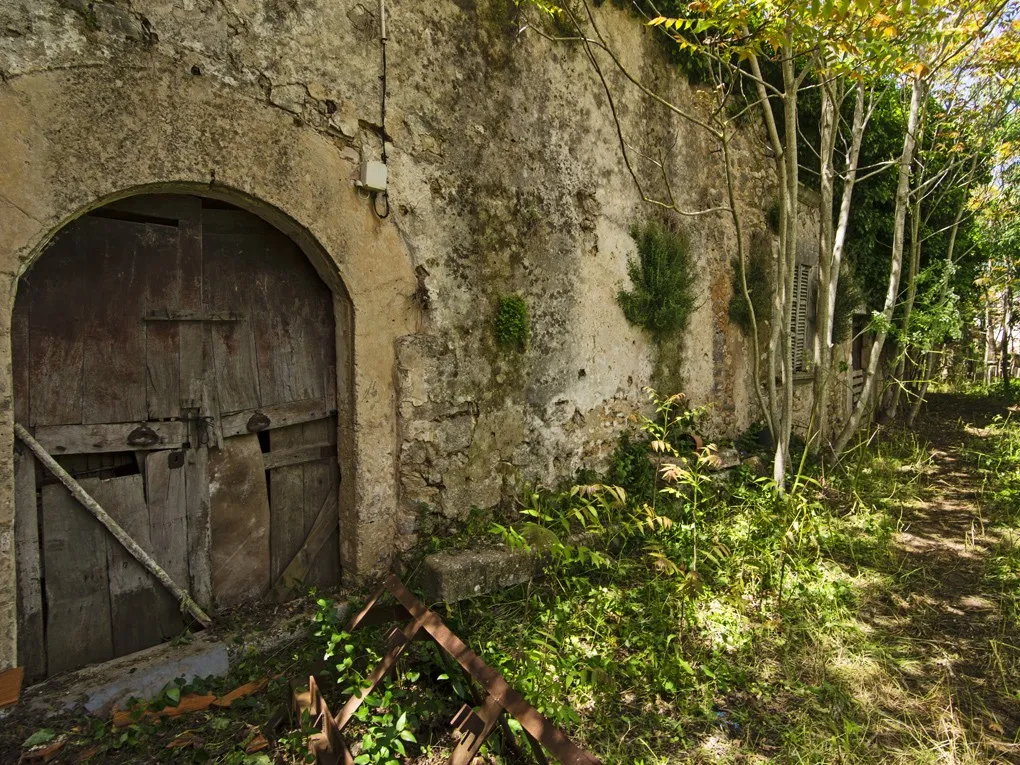 Majestuosa casa de pueblo histórica para restaurar en Binissalem-3