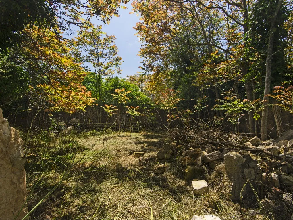 Majestuosa casa de pueblo histórica para restaurar en Binissalem-6