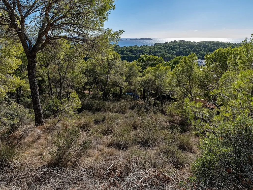 Sea view building plot with licence and execution project-8