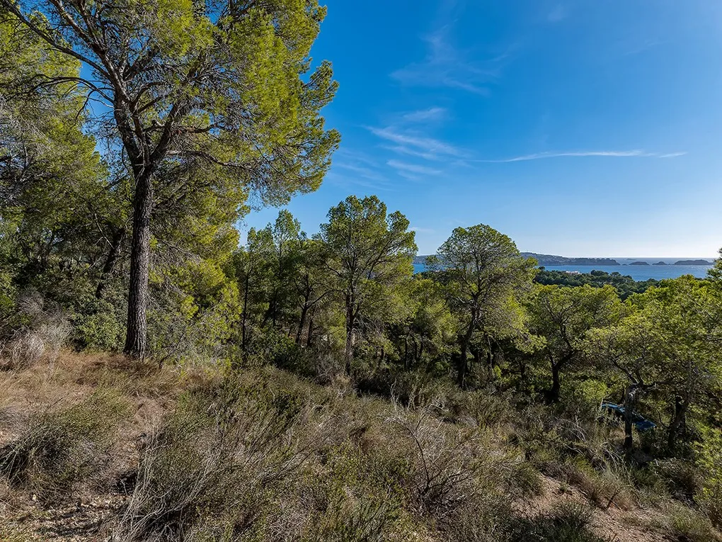 Sea view building plot with licence and execution project-3