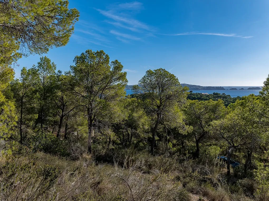 Byggegrund med havudsigt, licens og udførelsesprojekt-4