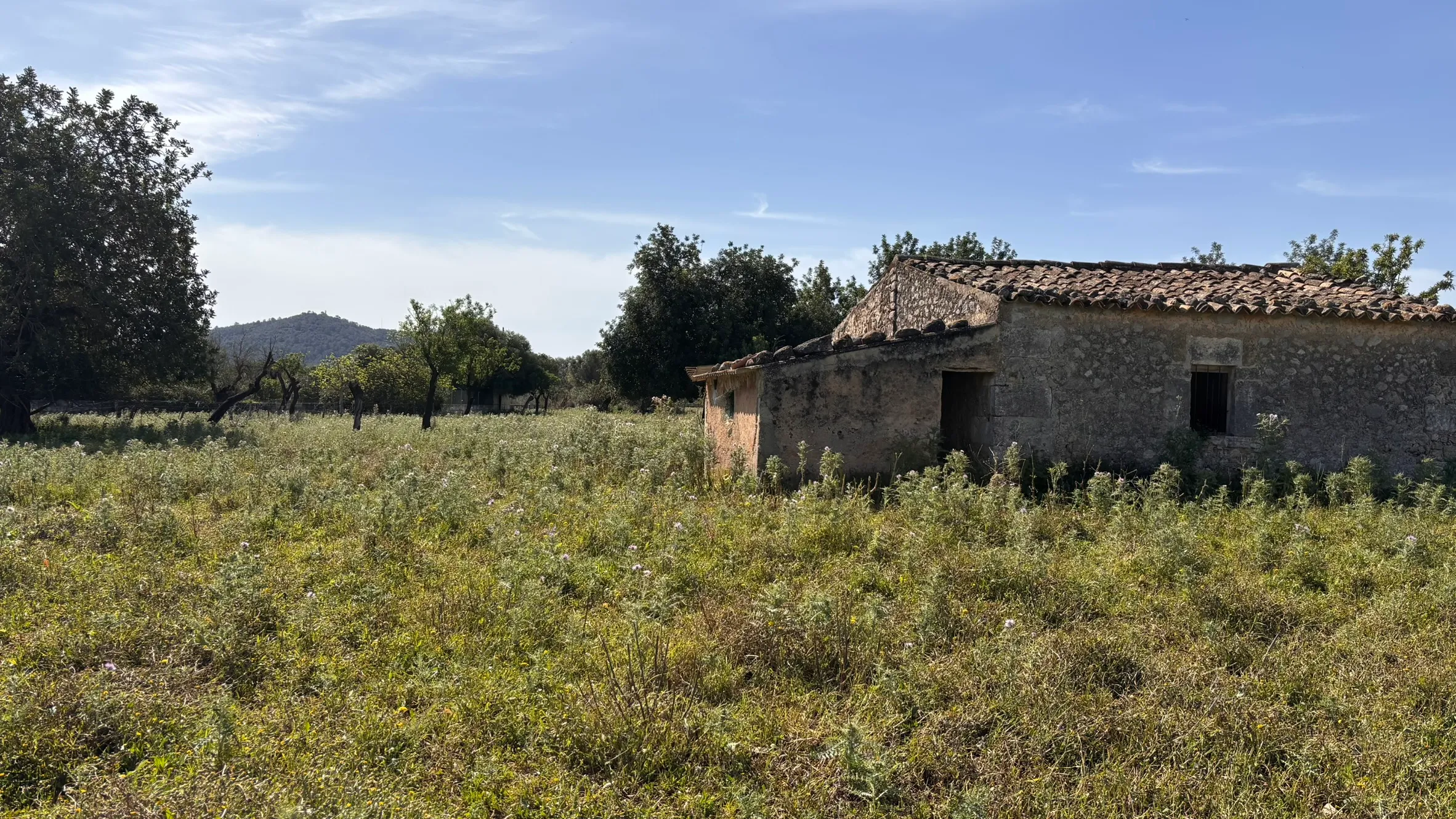 Terreno edificabile con progetto presentato a Moscari-8