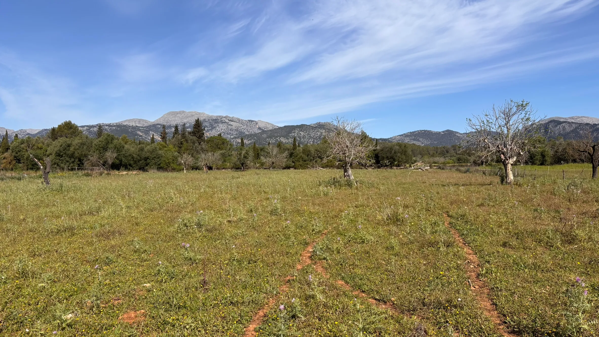 Terreno edificabile con progetto presentato a Moscari-7