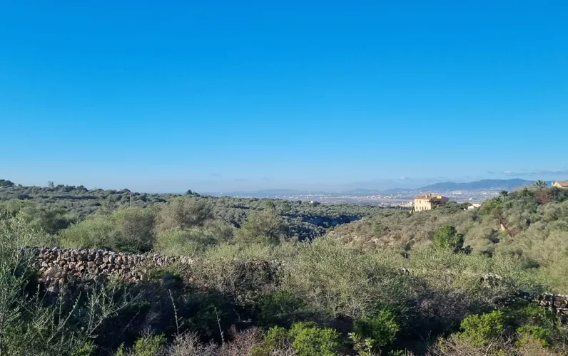 Terreny amb projecte i vistes a la badia en Son Gual