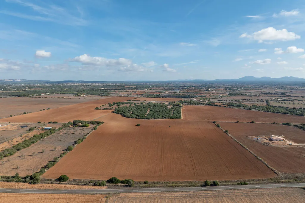 Byggnadstomt med godkänt projekt inte långt från Es Trenc-3