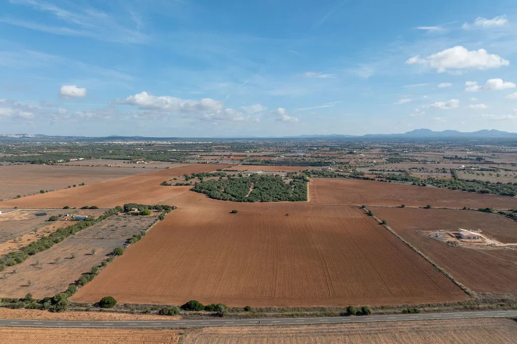 Terreno edificabile con progetto approvato non lontano da Es Trenc-3