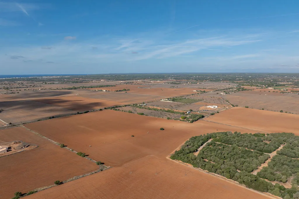 Byggnadstomt med godkänt projekt inte långt från Es Trenc-10