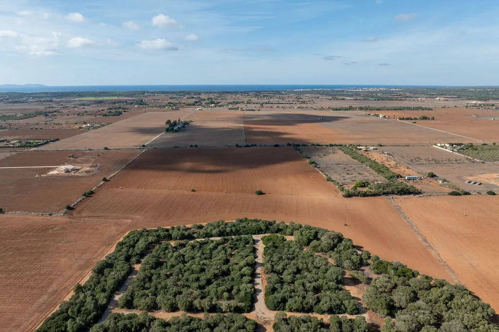 Byggnadstomt med godkänt projekt inte långt från Es Trenc-11