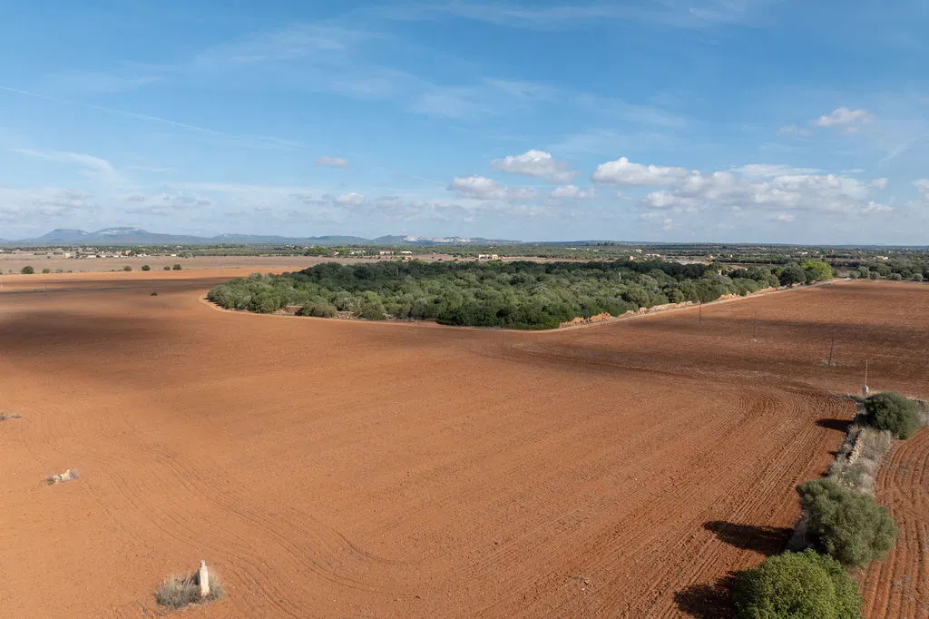 Terreno edificabile con progetto approvato non lontano da Es Trenc-5