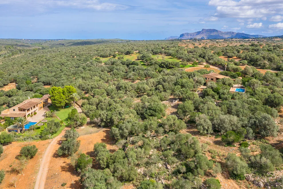 Finca Ensemble med panoramautsikt och uthyrningslicens i Manacor-3