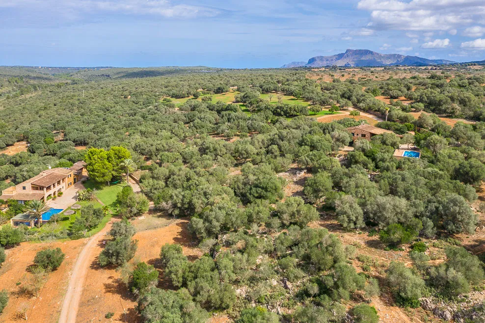 Finca Ensemble avec vue panoramique et permis de location à Manacor-3