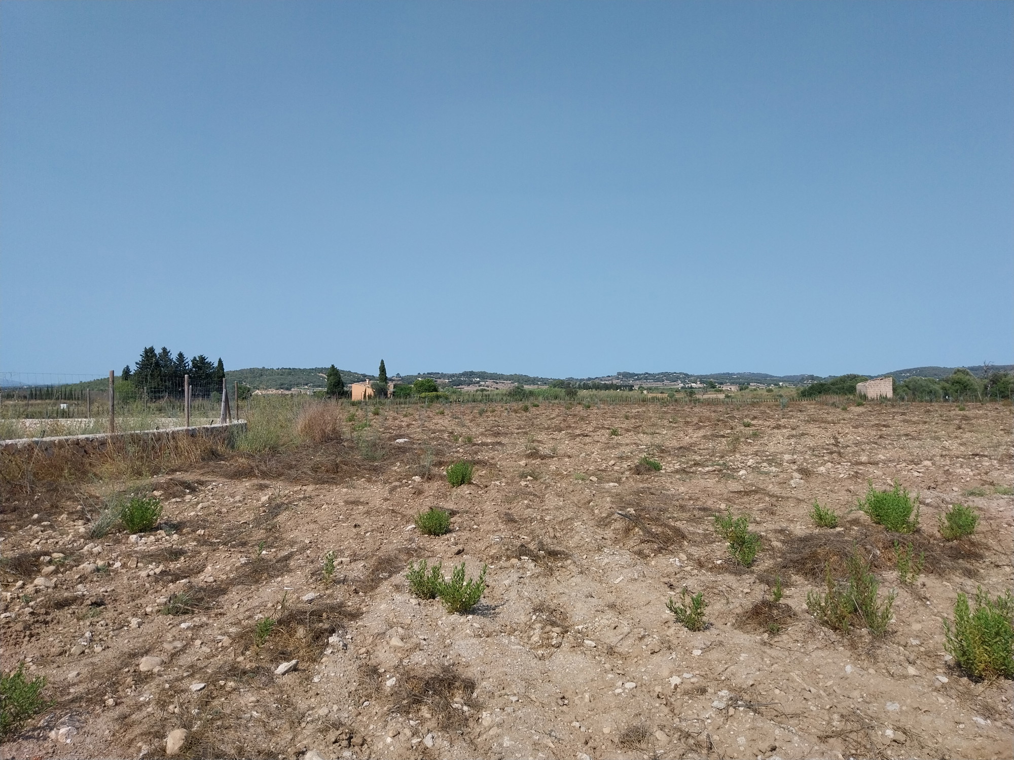 Building plot with project in Algaida-7