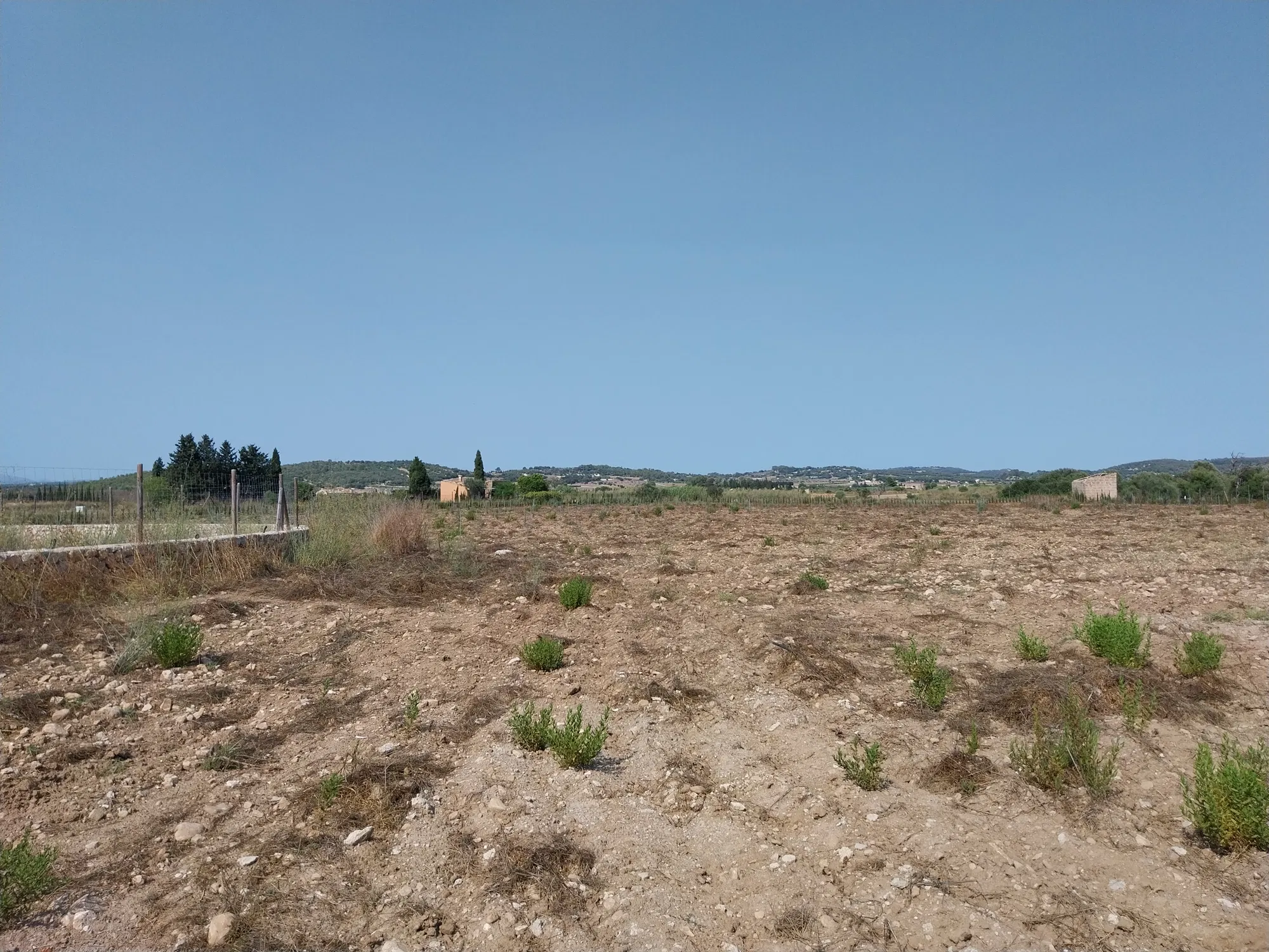Building plot with project in Algaida-7