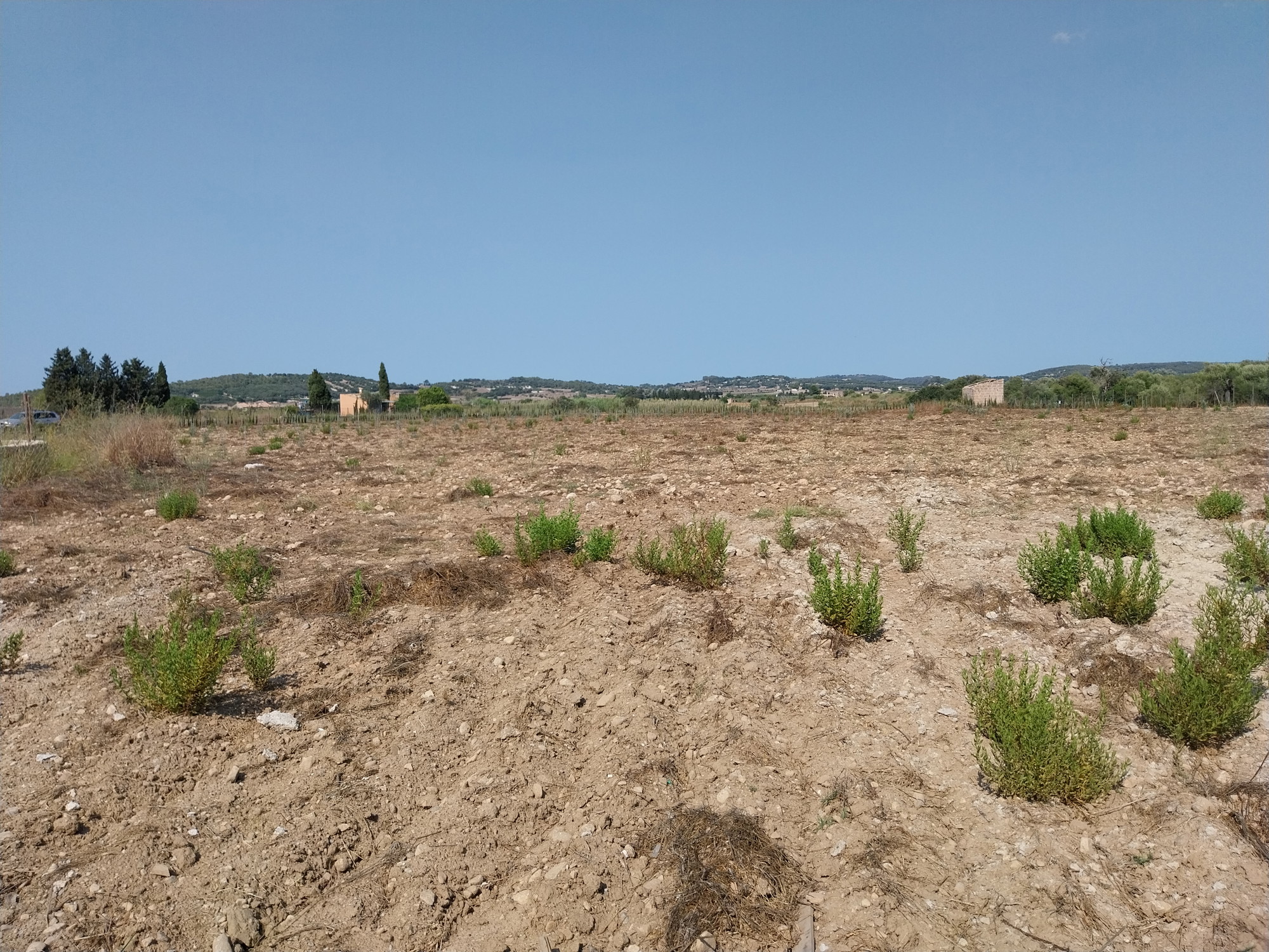 Building plot with project in Algaida-8