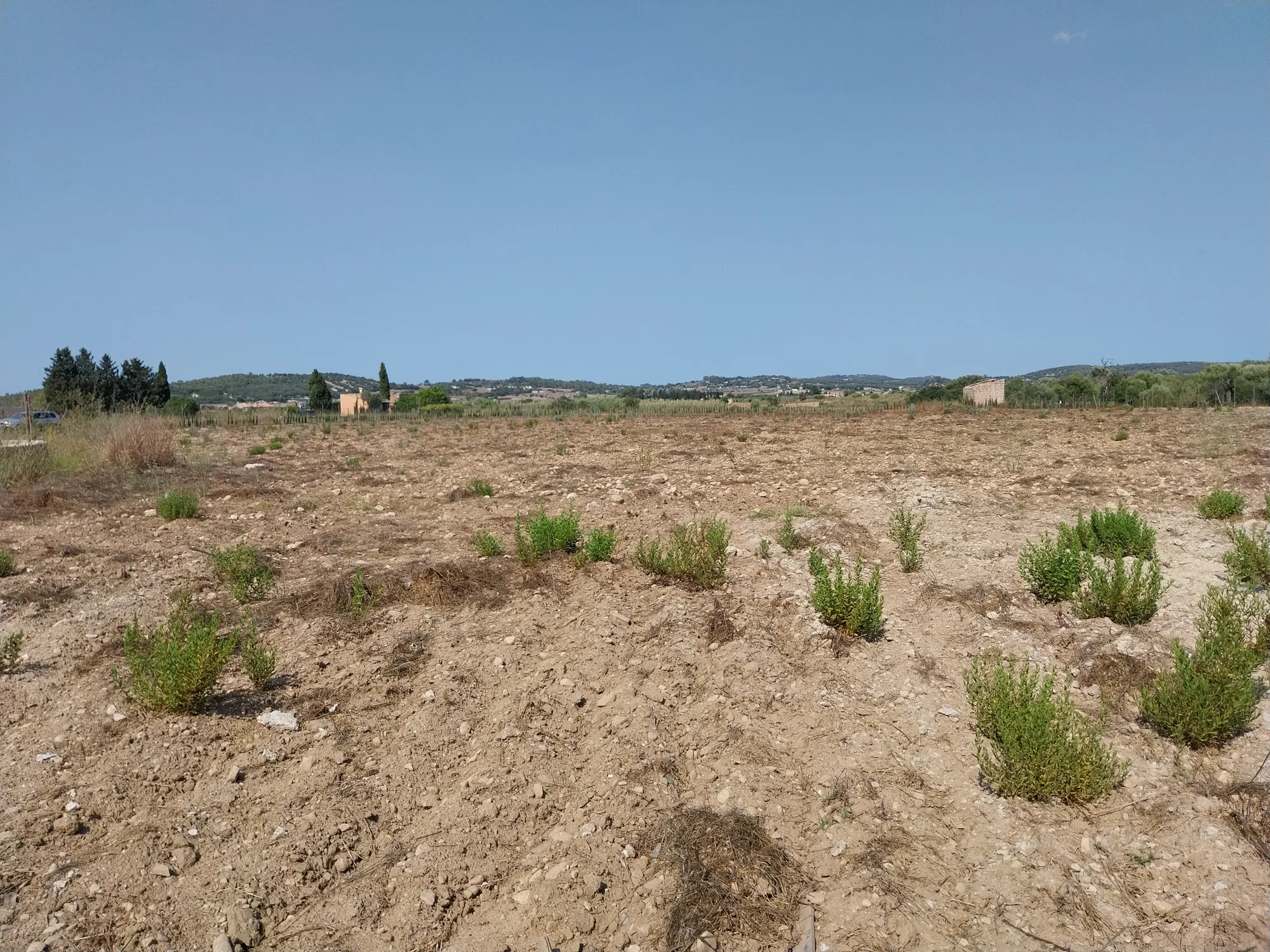 Building plot with project in Algaida-8