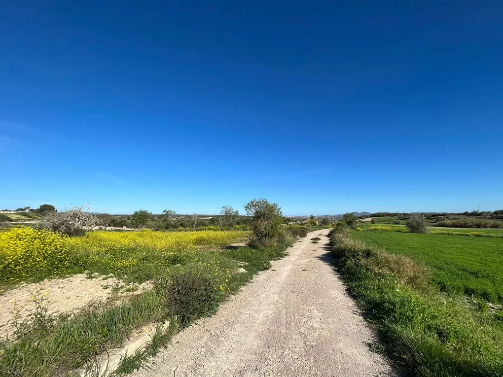 Beautiful rustic country house in Petra-15