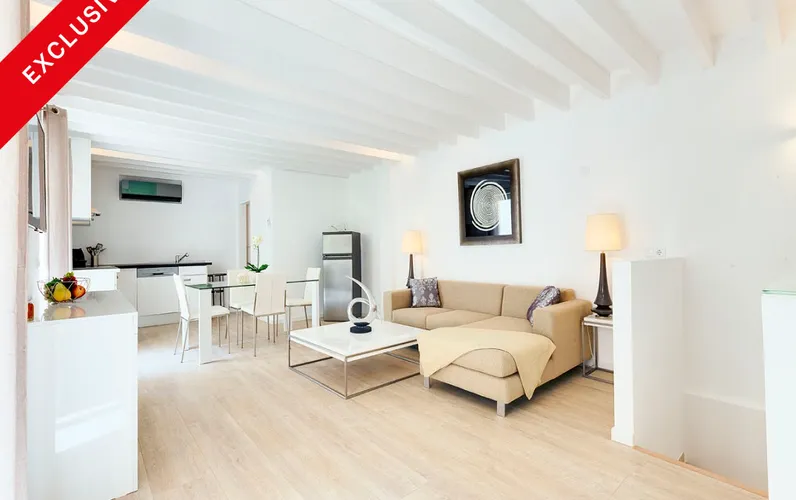 Exclusive and very quiet apartment close to Paseo Borne