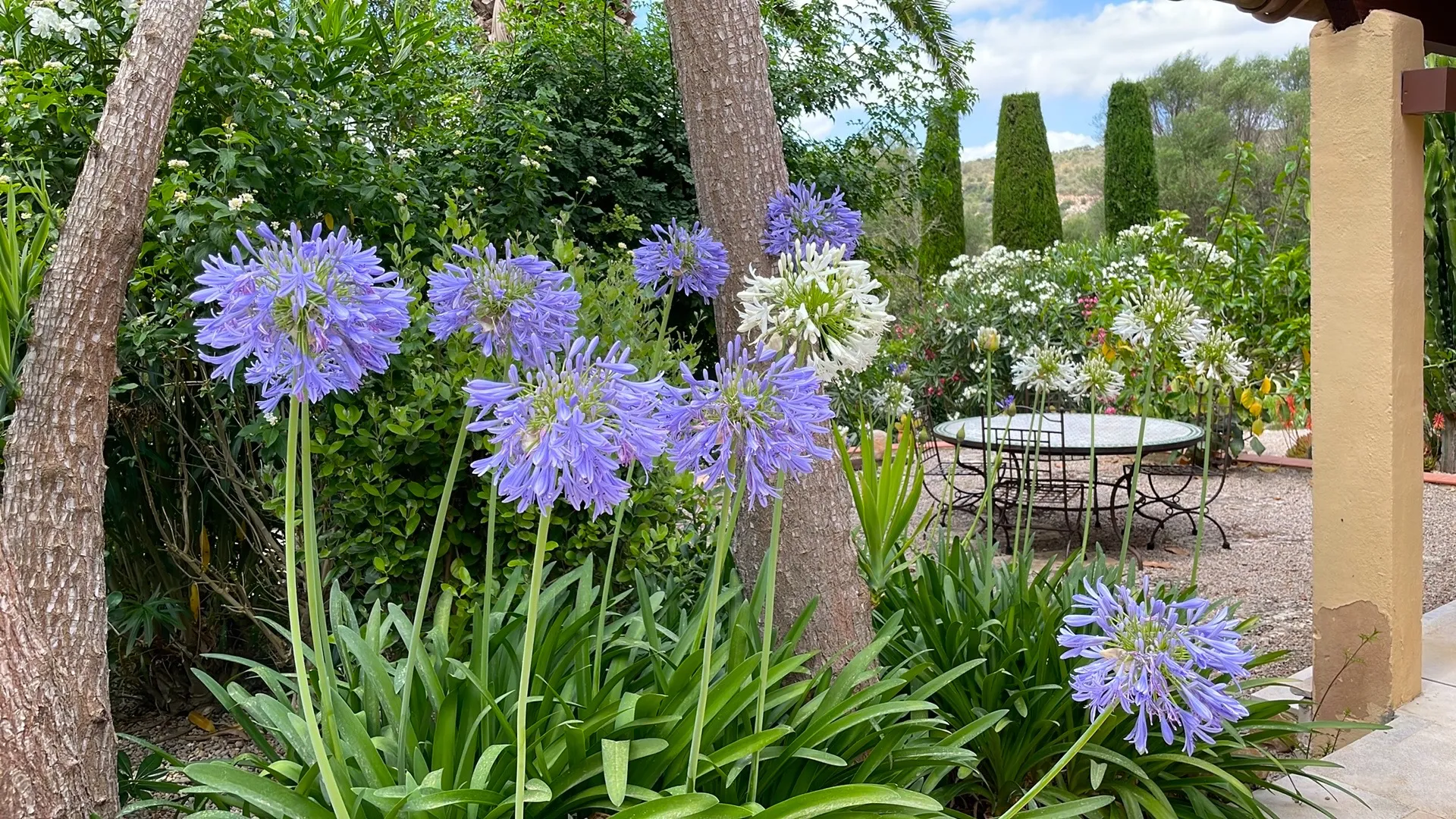 Splendida finca con meraviglioso giardino vicino a Manacor-14