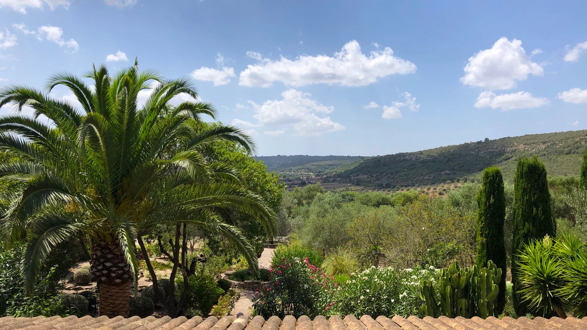 Beautiful finca with a wonderful garden-15