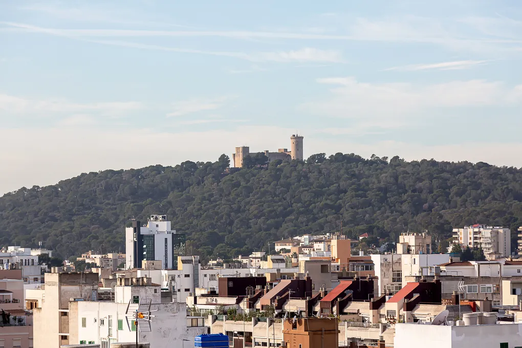 Magnífico ático con vista en Santa Catalina-10