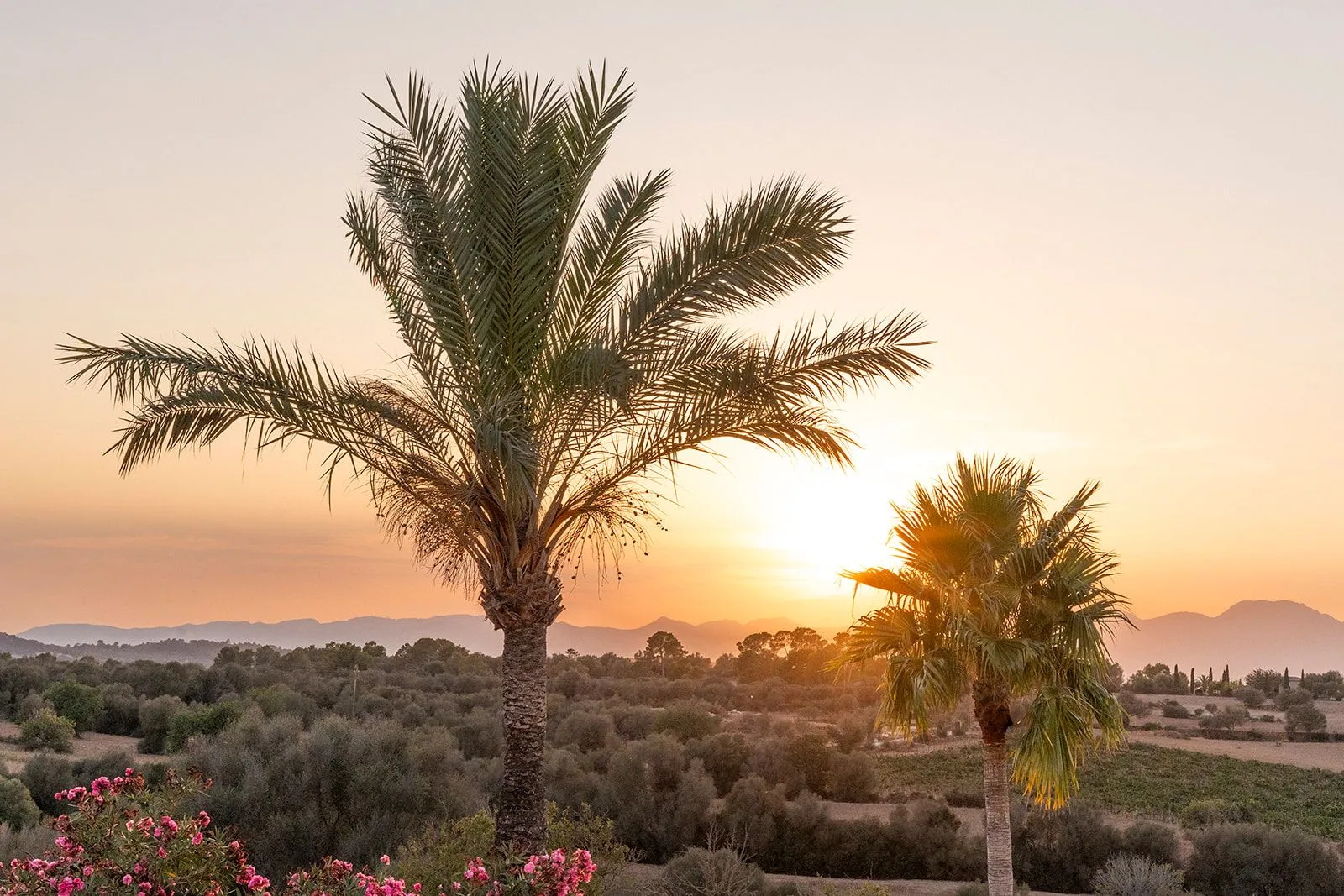 Arkitektonisk unik i sin natur-25