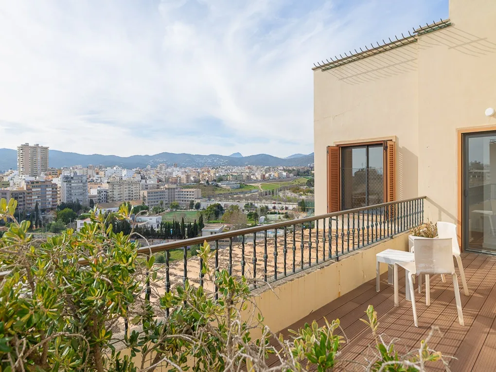 High-end renovated penthouse with elevator and garage-2