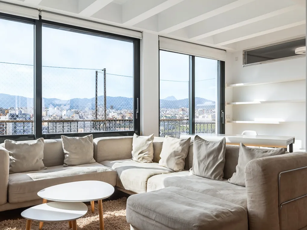 High-end renovated penthouse with elevator and garage-7