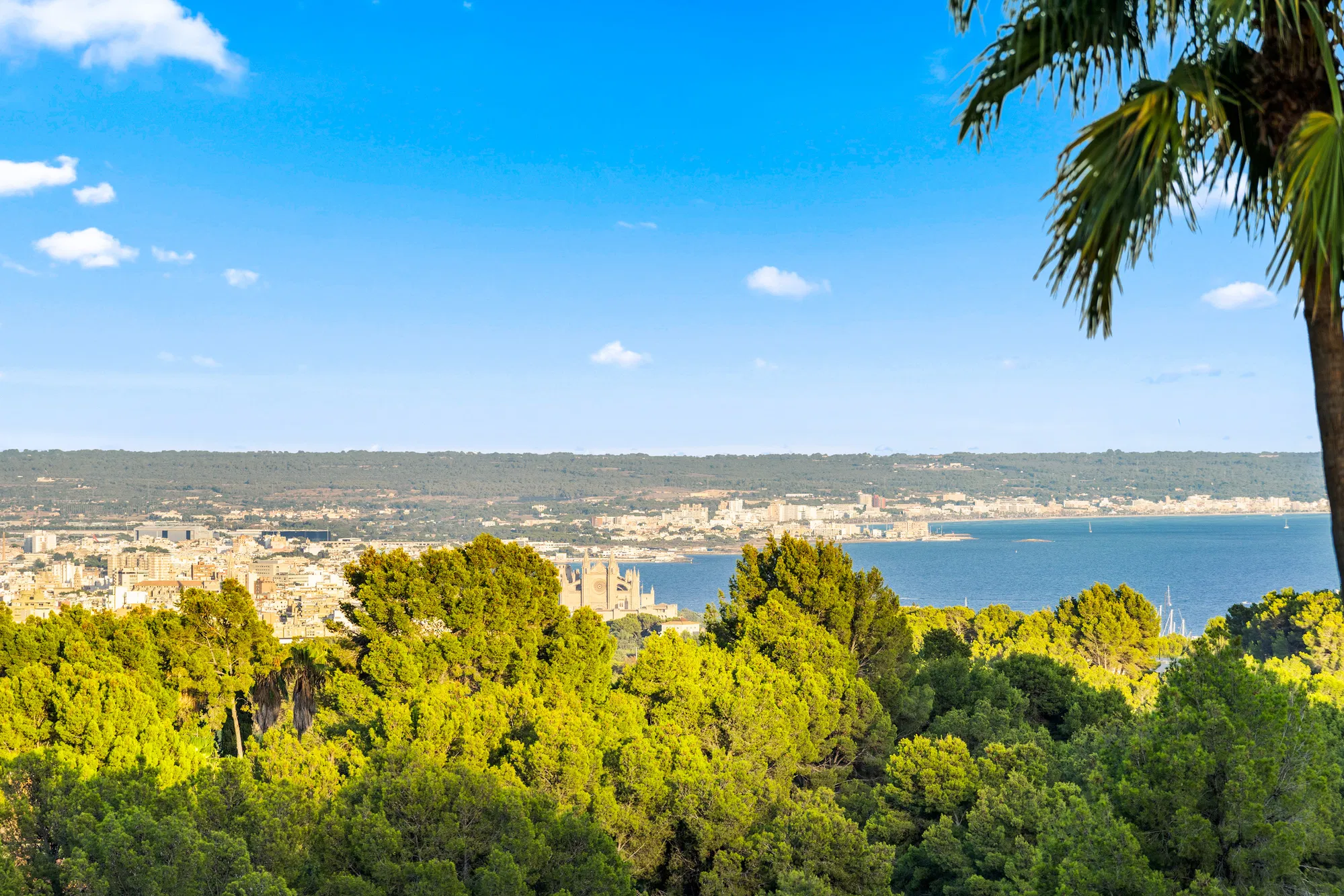 Neoclassic designer villa with sea views in Son Vida-3